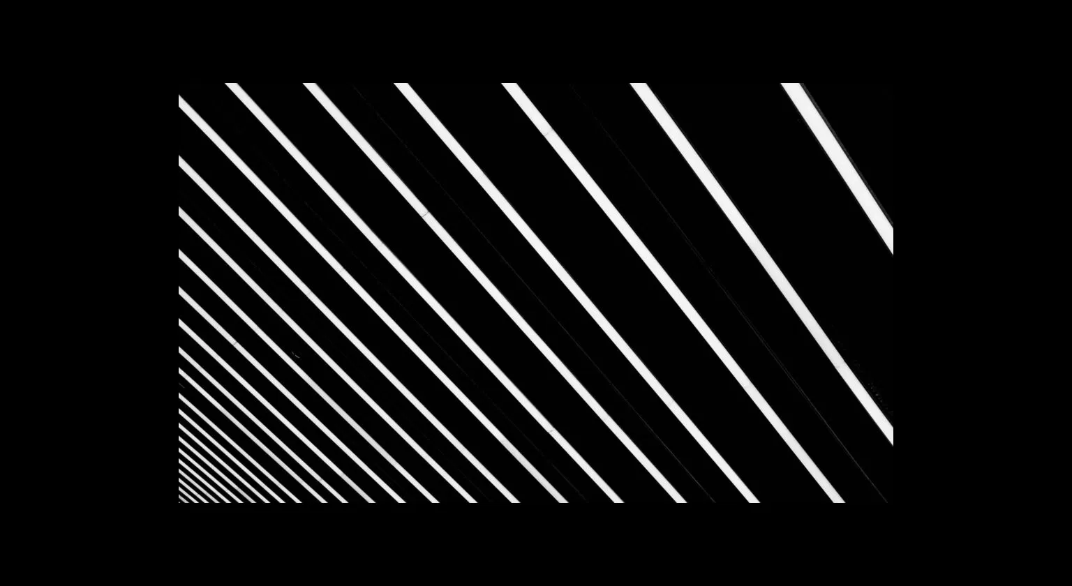 A Signal From the Noise image