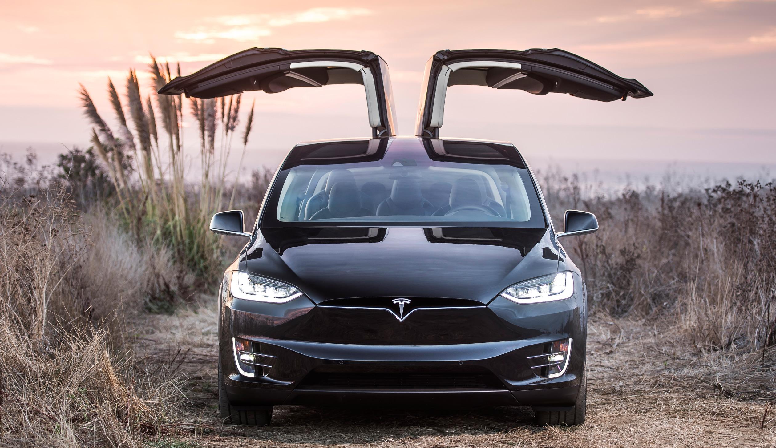 Tesla Model X Falcon Doors